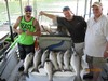 (08/10/2018) - Nice Striped Bass